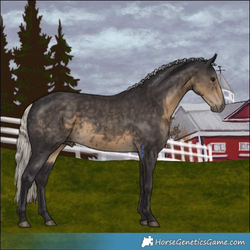 Horse Color:Silver Smoky Black 
