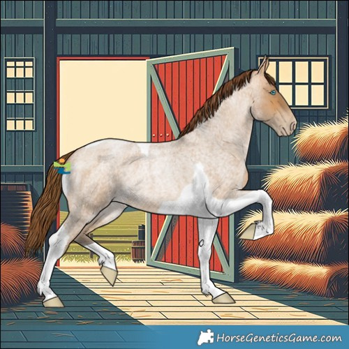 Horse Color:Gray Buckskin Roan Pearl Tobiano 
