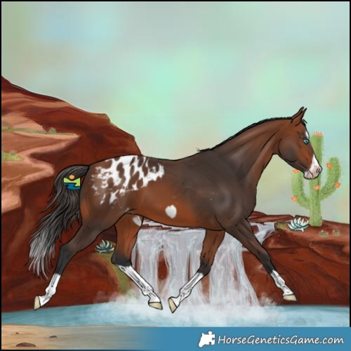 Horse Color:Bay Splash Frame Blanket