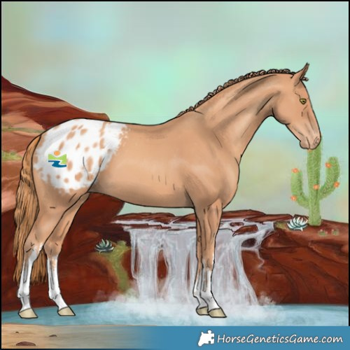 Horse Color:White Spotted Gold Champagne Blanket 