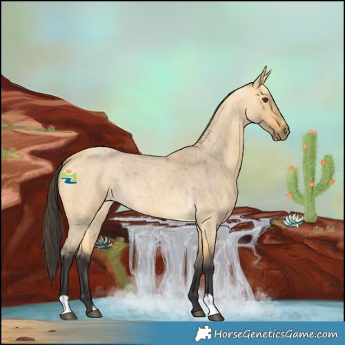 Horse Color:Buckskin Roan Dun 