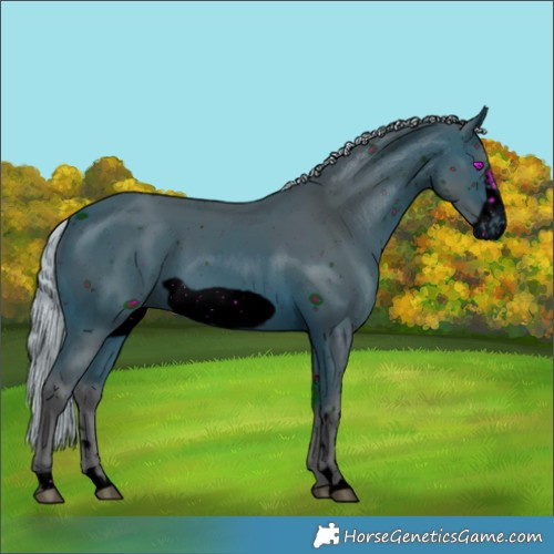 Horse Color:ERROR: UNKNOWN ANOMALY