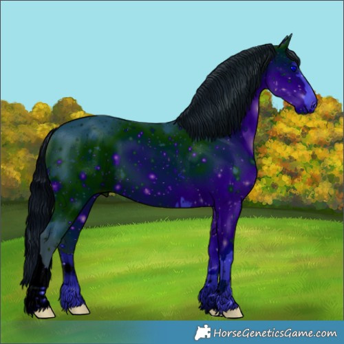 Horse Color:ERROR: UNKNOWN ANOMALY