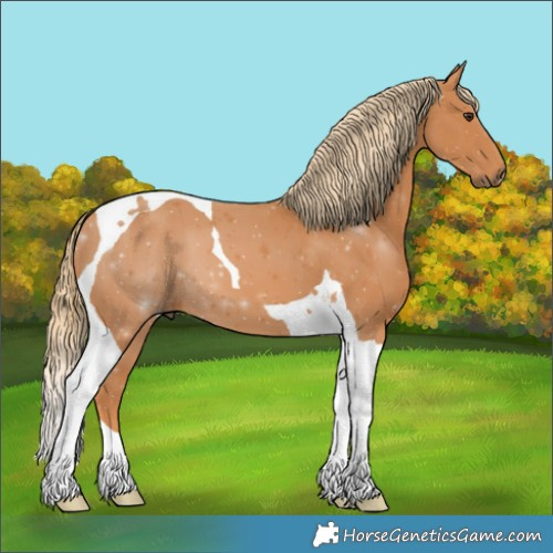 Horse Color:Chestnut Tobiano 