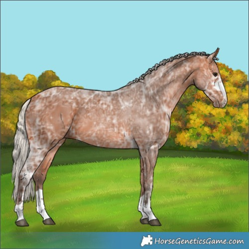 Horse Color:Silver Bay Ice 