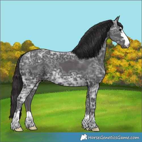 Horse Color:Smoky Black Ice