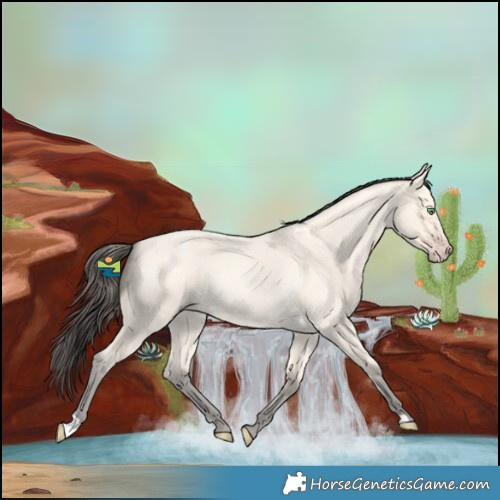 Horse Color:Amber Cream Champagne Roan 