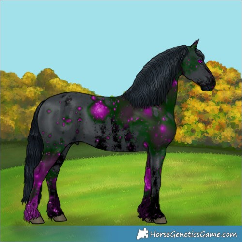Horse Color:ERROR: UNKNOWN ANOMALY