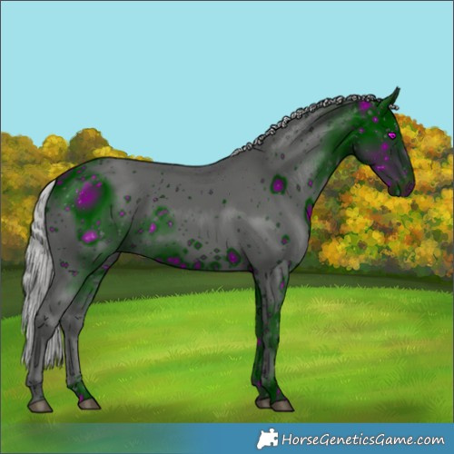 Horse Color:ERROR: UNKNOWN ANOMALY