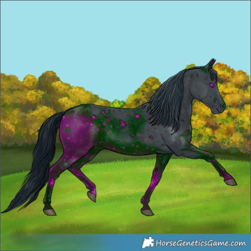 Horse Color:ERROR: UNKNOWN ANOMALY