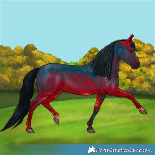 Horse Color:ERROR: UNKNOWN ANOMALY