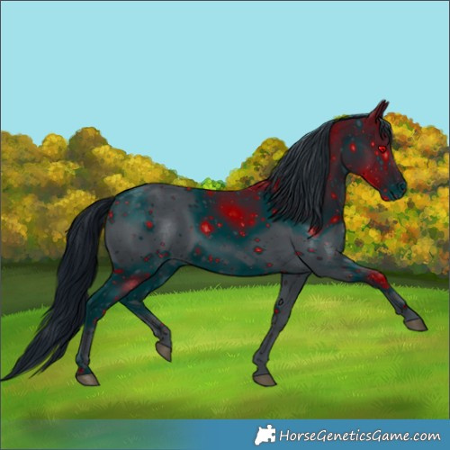 Horse Color:ERROR: UNKNOWN ANOMALY
