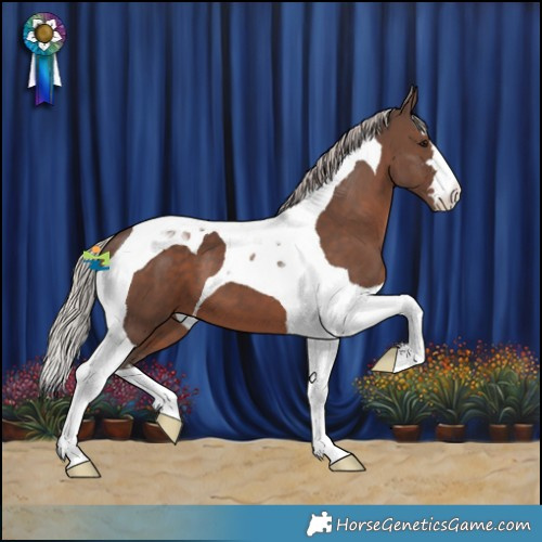 Horse Color:Silver Black Tobiano