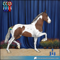 Horse Color:Silver Black Tobiano 