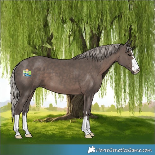 Horse Color:Silver Black