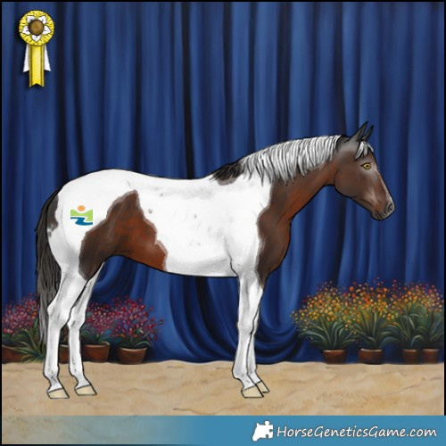 Horse Color:Gray Liver Chestnut Tobiano 