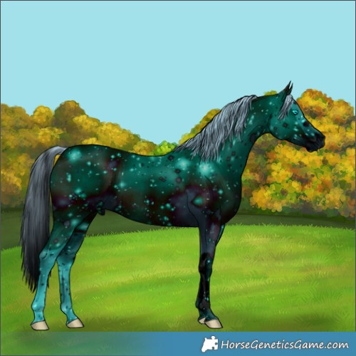 Horse Color:ERROR: UNKNOWN ANOMALY