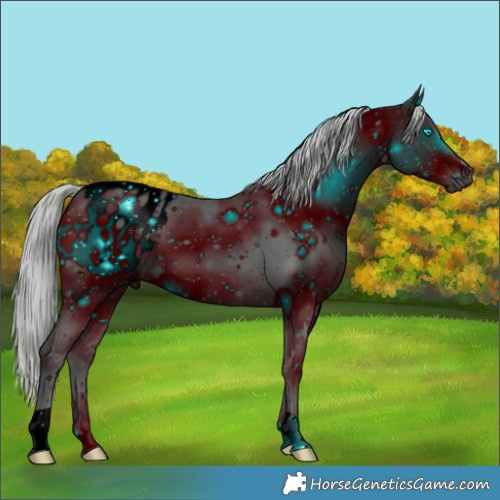 Horse Color:ERROR: UNKNOWN ANOMALY