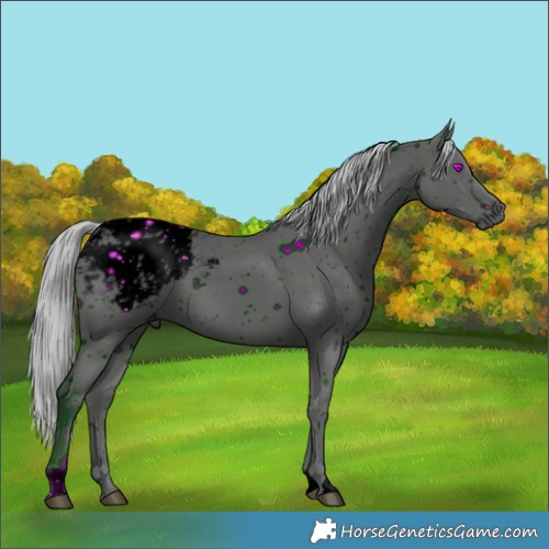 Horse Color:ERROR: UNKNOWN ANOMALY