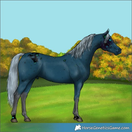 Horse Color:ERROR: UNKNOWN ANOMALY