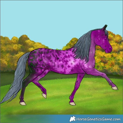 Horse Color:ERROR: UNKNOWN ANOMALY