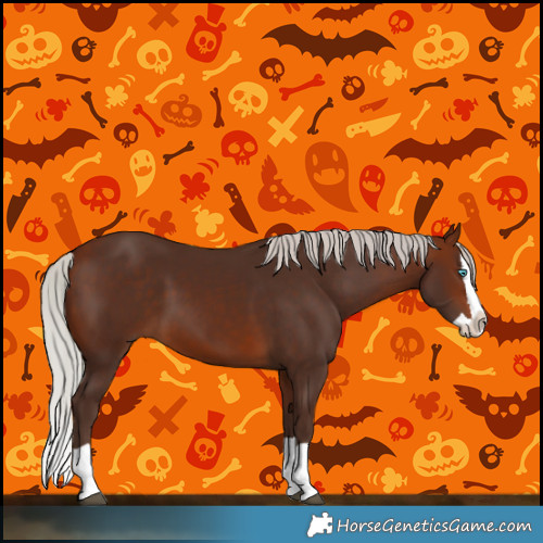 Horse Color:Silver Brown Splash 