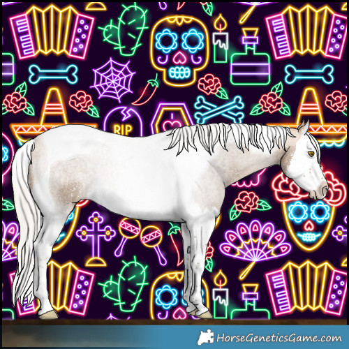 Horse Color:Silver Buckskin Splash Tobiano 