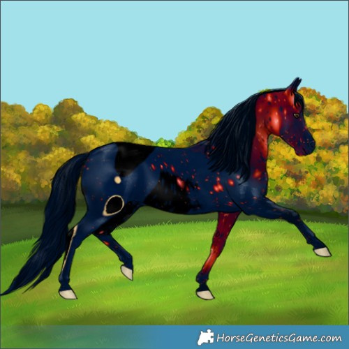 Horse Color:ERROR: UNKNOWN ANOMALY