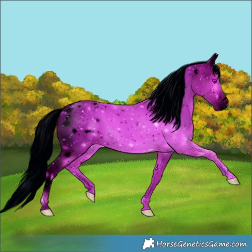 Horse Color:ERROR: UNKNOWN ANOMALY