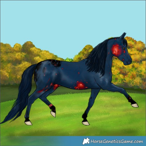 Horse Color:ERROR: UNKNOWN ANOMALY