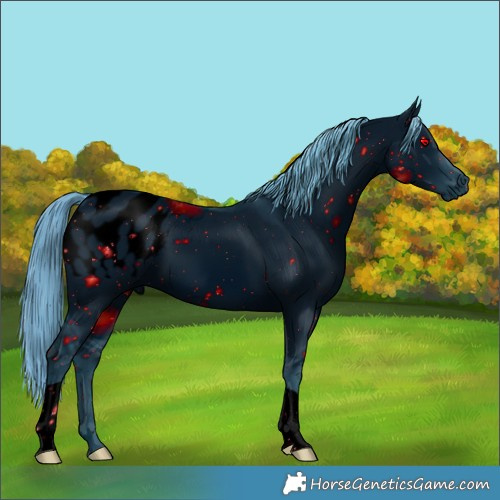 Horse Color:ERROR: UNKNOWN ANOMALY