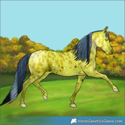 Horse Color:ERROR: UNKNOWN ANOMALY