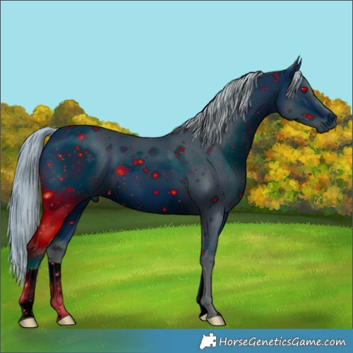 Horse Color:ERROR: UNKNOWN ANOMALY