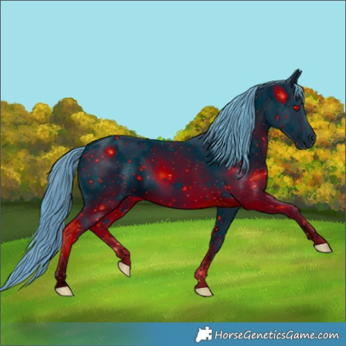 Horse Color:ERROR: UNKNOWN ANOMALY