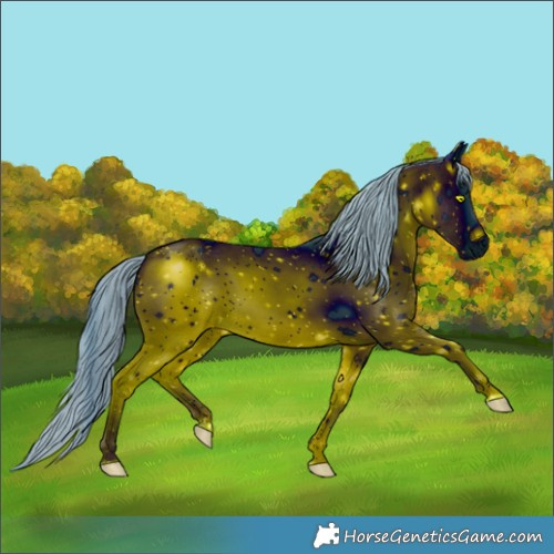 Horse Color:ERROR: UNKNOWN ANOMALY