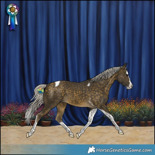 Horse Color:Silver Buckskin Splash Tobiano
