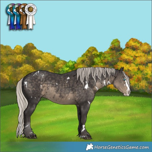 Horse Color:White Spotted Silver Smoky Black Splash 