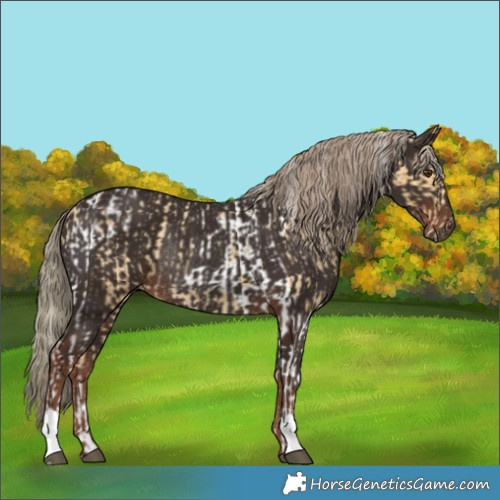 Horse Color:Palomino Tobiano Varnish  and Liver Chestnut Rabicano 