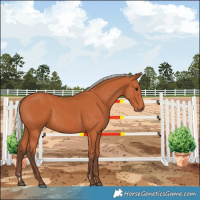 Horse Color:Silver Bay 