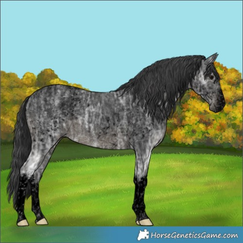 Horse Color:Void White Spotted Black Ice