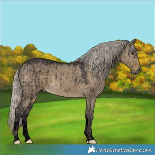 Horse Color:Void White Spotted Silver Smoky Grullo Brindle 