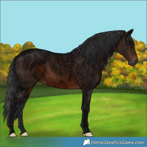 Horse Color:Void Brown Ice Mushroom 
