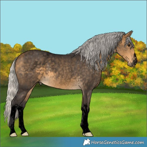 Horse Color:Void White Spotted Silver Buckskin