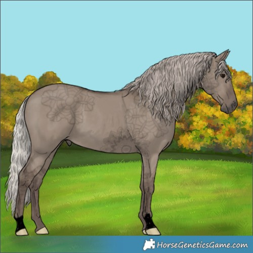 Horse Color:Void Silver Grullo