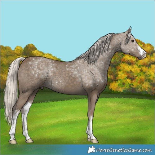 Horse Color:White Spotted Silver Smoky Black