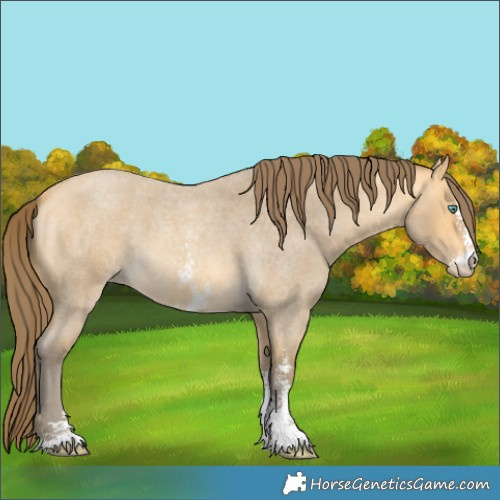 Horse Color:Amber Cream Champagne Roan Sabino Varnish 