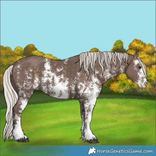 Horse Color:Silver Black Sabino