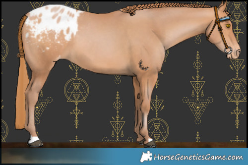 Horse Color:Chocolate Bay Pearl Varnish 