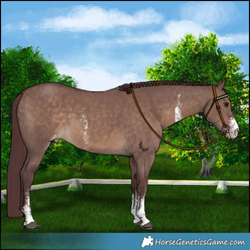 Horse Color:Chocolate Brown Dun Sabino Varnish