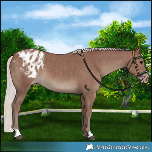 Horse Color:Chocolate Silver Black Varnish 